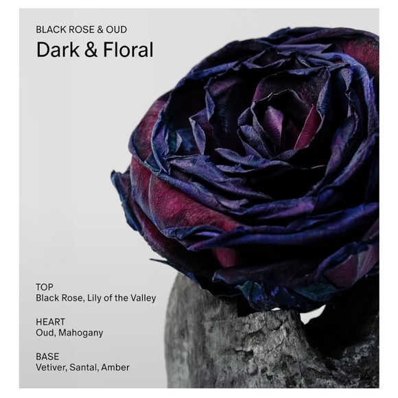 Salt & Stone Body Mist Set - Picture 4 of 5